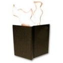 Livre en feu
