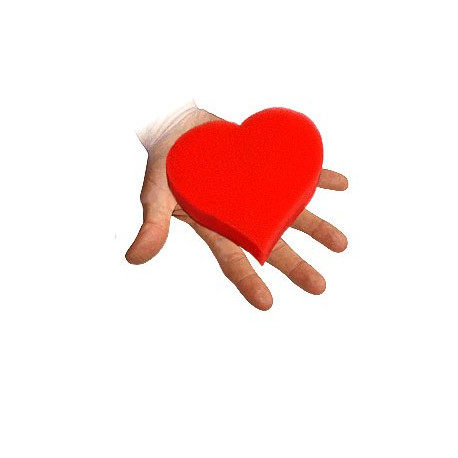 sponge-love