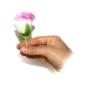 Production de roses