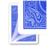 GT Speed Reader Marked Deck (809 Mandolin)