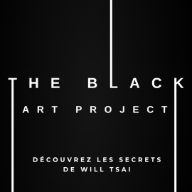 Black Art Project (2 DVD)