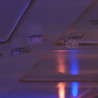 Card On Ceiling