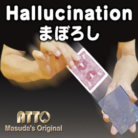 Hallucination