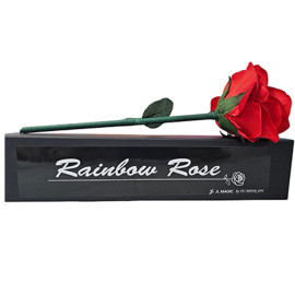 Rainbow Rose