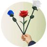 Rainbow Rose